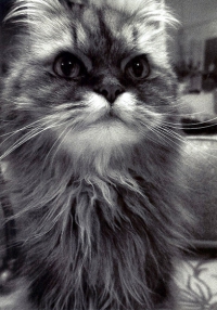 Pablo